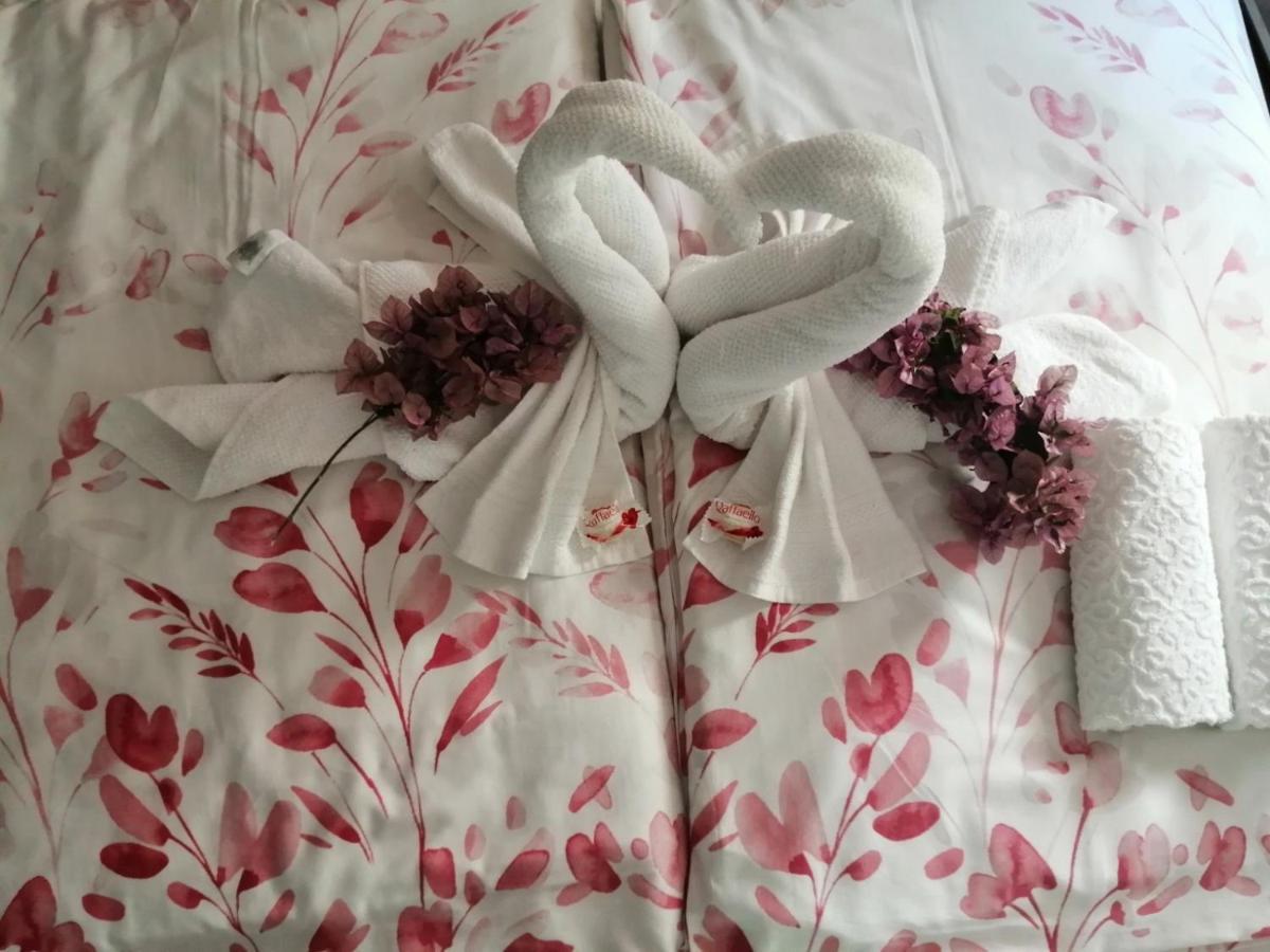 Sun & Love Apartment 科佩尔 外观 照片